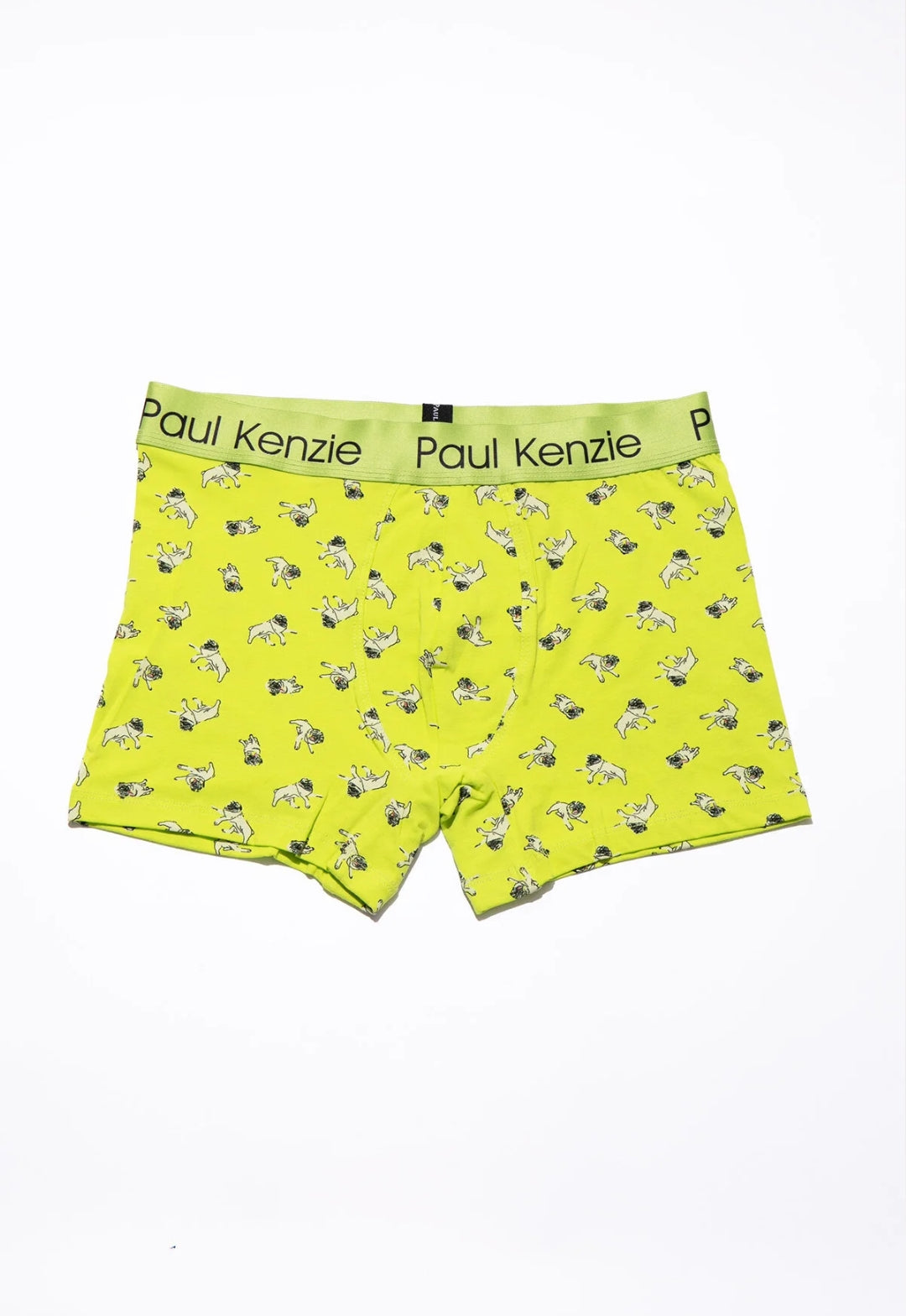 Desenli Erkek Boxer – Dani