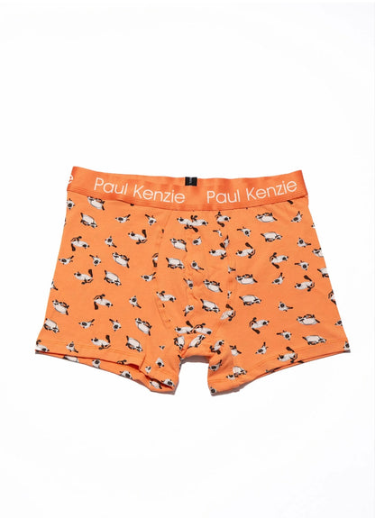 Desenli Erkek Boxer - Siyam