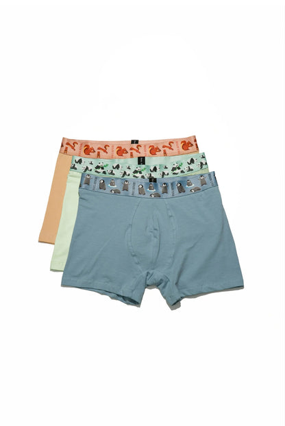 3'lü Erkek Boxer - Ecological