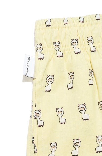 Desenli Erkek Ev Şort  – Lama