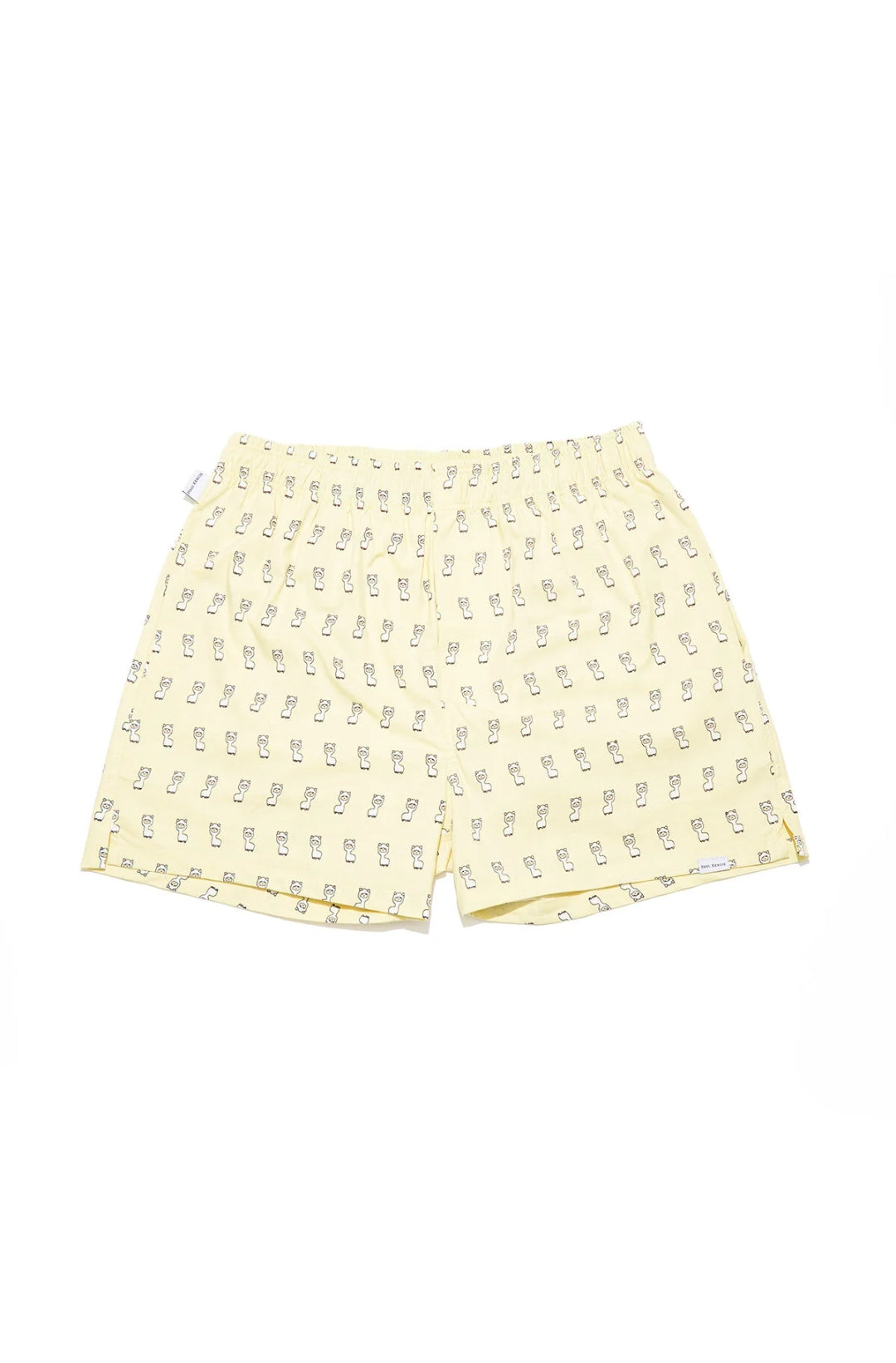 Desenli Erkek Ev Şort  – Lama